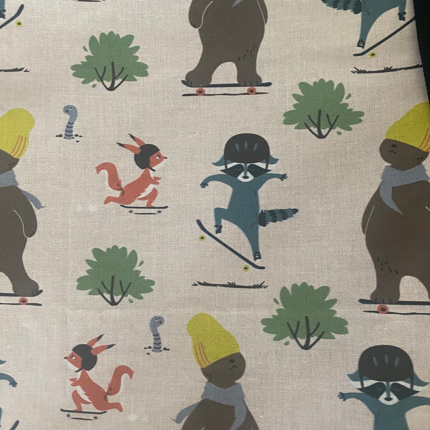 Swim Bag SKATE CRITTER