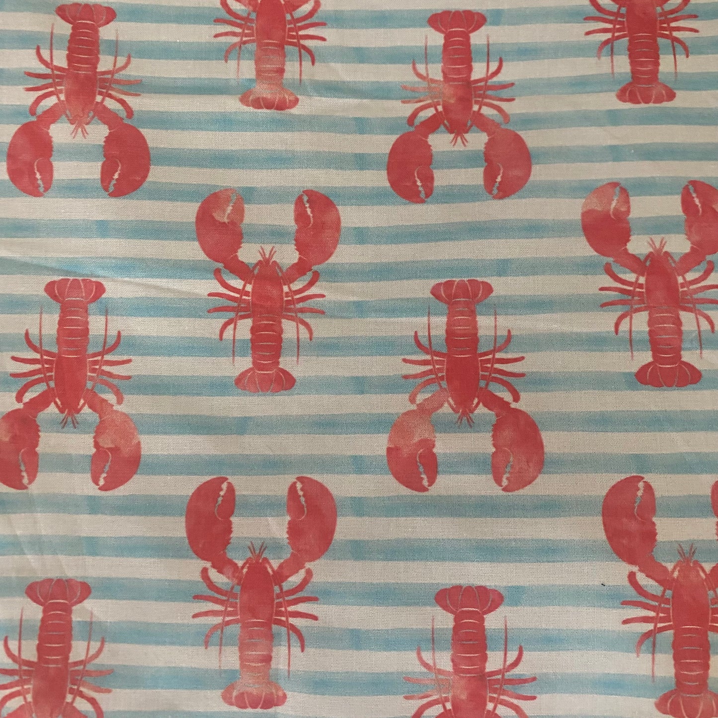 Swim Bag LOBSTER