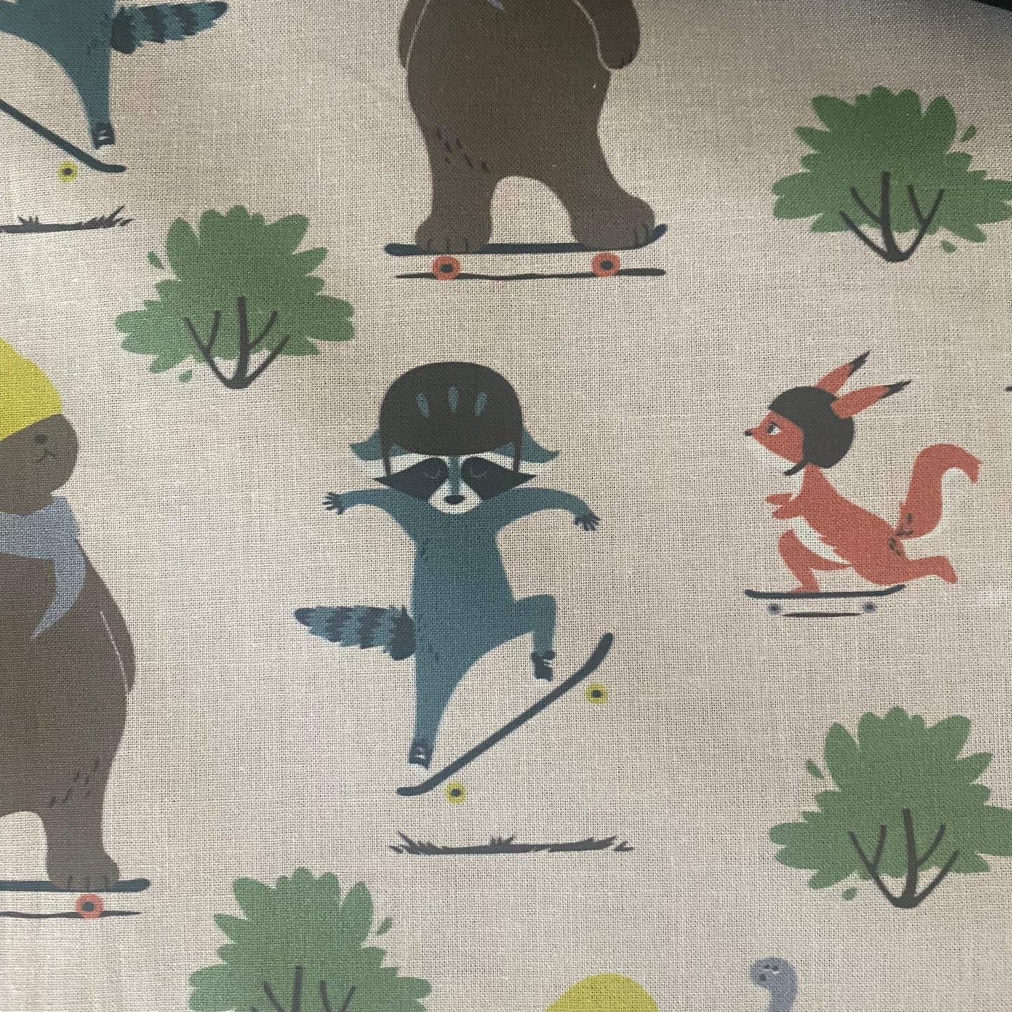 Book Bag SKATE CRITTERS